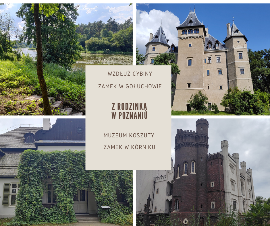 rowerem okolice Poznania